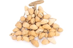 PERCUSSION PLUS Honestly Made natural seed shaker