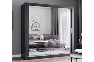 GENERIC FHI-DUBAI Modern Double Mirror sliding door wardrobe Width 100cm/120cm/150cm/180cm/203cm/250cm (Black, 203cm)