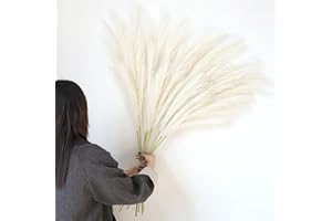Larber 8 pcs Faux Pampas Grass 113CM, Soffice Erba Artificiale Pampas Falso Erba Pomposa per Vaso Home Wedding Decor (Beige)