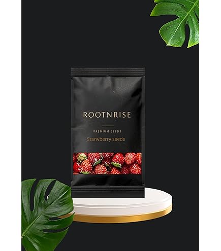 Imported Strawberry Fruit Indoor/Outdoor Plant Seed (Pack of 20