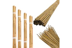 LIZAA 2ft-7ft Bamboo Garden Heavy Duty Canes Thick Quality for Plant Veg Support Professional Long Cane Strong Stick Durable Stakes (10, 4FT)