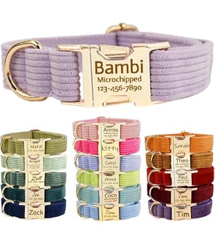 Didog Hundehalsband Mit Strass & Graviertem Namensschild - Personalisiert, Leder, Größe S