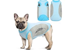 JODSEN Hundekühlweste,Sommer Cool und Bequem Hundemantel Atmungsaktiv Mesh Hundejacke mit Reflektorstreifen,Leichte Hunde-EIS-Kühlung T-Shirts für kleine bis mittelgroße Hunde (L, Blau)