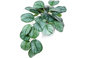 SOGUYI Piante Finte con Vaso50cm Calathea Orbifolia Piante Artificiali Tropical Monstera in Plastica Altamente Realistiche Ideale per la Decorazione Domestica, Pianta Artificiale(1 pezzi)