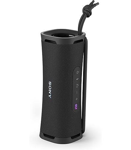 SpeakerCraft OE5 One Outdoor Speaker - Each (Black) : Amazon