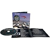 A Momentary Lapse Of Reason