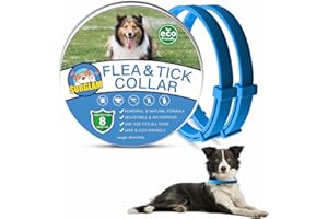 SURGLAM Flea and Tick Treatment for Dogs, Adjustable Dog Flea Collar, Waterproof 8 Months Natural Flea Treatment for Small Medium Large Dogs Puppies, Anti-flea Collars, Tick & Lice Repellent