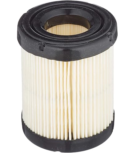 Vhbw Filter-Set Für Briggs & Stratton Rasentraktor – 1x Schaumfilter + 1x Papierfilter