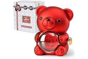 Ariceleo Ours en Rose Rouge avec Rose Éternelle - Fleurs Réelles et Collier en Forme de Cœur - Coffret Gris Élégant - Idée Cadeau pour Saint-Valentin, Fête des Mères, Mariage, Anniversaire