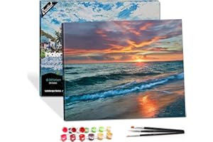 Bougimal Pintar por Numeros Adultos, DIY Pintura por números con Pinceles y Pinturas Decoraciones para el Hogar con Marco de 40 X 50 cm