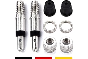 ANYKING Set completo di 8 parti di bicicletta, 2 valvole Dunlop per pneumatici con guarnizione, dado per valvola, coprivalvola, accessori di ricambio per bici da città, bici olandese