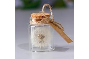 SHIRENE Diente de León Real en un Vaso,Regalo de Diente de León Hecho a Mano Diseño de Diente de León Cumpleaños Día San Valentín Boda Día Madre Regalos para Niños Mejor Amigo