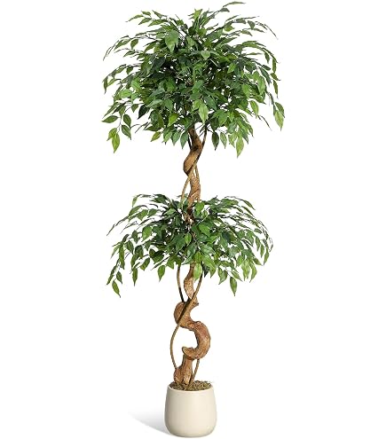 Amazon.de: artplants.de Knstlicher Elefantenfu Baum ALWINA, Naturstamm,  grn, 150cm - Kunstbaum