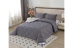 NORA HOME Piumone Matrimoniale Invernale 235x260 Grigio Reversibile. Antiacaro Antibatterico Fibra 3D. Livello Termico Molto Elevato 4.5/5. Piumino Caldo 400 gr/m² - BICOLOR