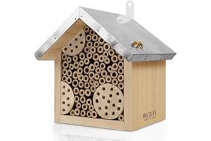 WILDLIFE FRIEND Insektenhotel aus Kiefernholz - Nisthilfe Mauerbienen und Bienen Nisthilfe mit wetterfestem Metalldach - 20 x 17 x 23 cm - fertig montiertes Insektenhaus für Garten Balkon