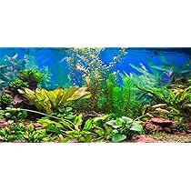 Sfondo Per Acquario 91x41cm - Design Rami E Piante Acquatiche In Vinile - Foto 5