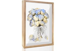 FIHODONE Shadow Box Frame 22.5 X 31 X 3cm, Box Frames for Crafts 3d Deep, Plexiglass Deep Photo Frame Box, Log Colour Deep Picture Frame, Deep Picture Frames Box Display for Photos, Artworks