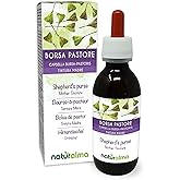 Bourse-à-pasteur (Capsella bursa-pastoris) herbe Teinture Mère sans alcool Naturalma - Extrait liquide gouttes 120 ml - Compl