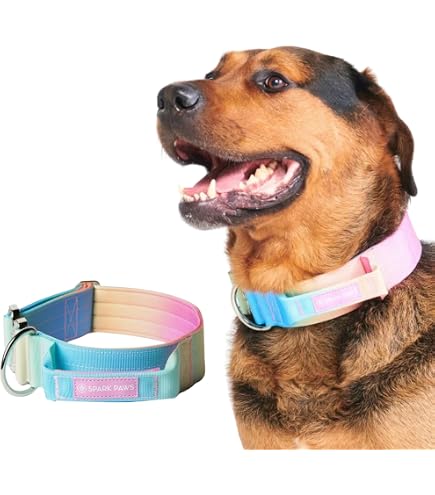 Spark Paws Premium Hundeleine Mit Kotbeutel – Extra Stabil Für Starke Hunde!
