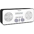 TechniSat VIOLA 2 S - radio DAB portatile (DAB+, FM, sveglia, altoparlante stereo, jack per cuffie, aux-in, display a due rig