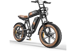 HillMiles MileZoom1 Bici Elettrica Uomo,Batteria Rimovibile 832/1664 Wh, Autonomia Massima 130/260Km, Velocità Massima 25Km/h, Pneumatici Fat 20 * 4.0,Cambio 7 Velocità Completa per Tutti i Terreni