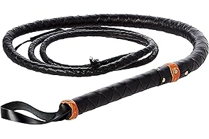 SZCO Miscellanea Pakistan Bullwhip