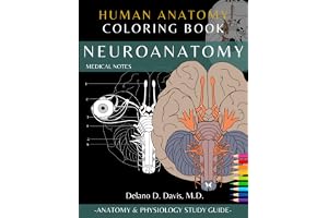 Neuroanatomy: Human Anatomy Coloring Book | Medical Notes: | Neuroanatomy Coloring Study Workbook for Medical & Nursing Students