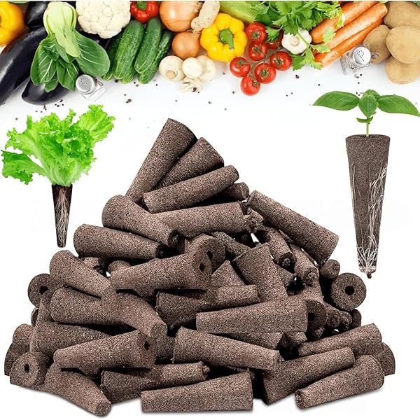 NHP Set 20 Spugne Per Coltivazione Idroponica - Spugne Di Torba Per Semi, Ideali Per Erbe E Ortaggi - Foto 12