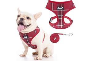 PUPTECK Dog Harness Small Dog Soft Mesh Pet Puppy Cat Comfort Padded Vest No Pull Harnesses and Lead Set