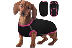 Hjyokuso Camisetas para Perros Teckel, JerséIs para Perros, Jersey Perro Grandes, Ropa para Perros Salchicha, Ropa para Teckel, Chaleco Perro Grandes, Ropa para Perros Salchicha, Teckel Ropa