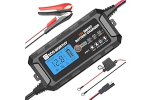 ECO-WORTHY Caricabatterie Intelligente 5A 12V con Display LCD per Batterie al Piombo, AGM e LiFePO4 al Litio