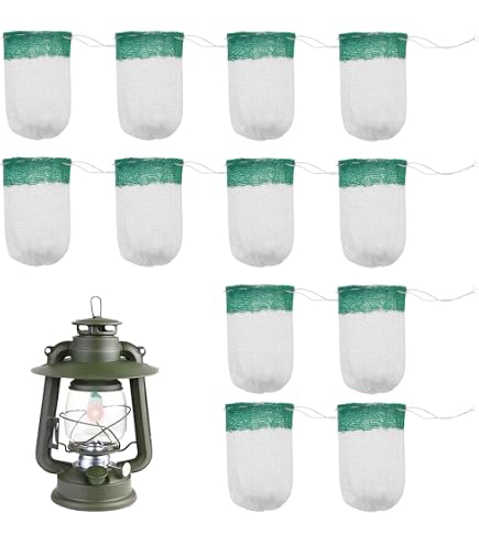 COM Gas-Glas 80 X 80 Mm – Ersatzglas Für Licht 755 Und 1032