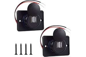 FBBULES Chargeur de Voiture USB Double 4.8A Prise de Charge Rapide avec Capuchon Anti-poussière, Panneau de Charge Rapide pour la Plupart des Véhicules 12V-24V, Camions, Motos, Bateaux (2 Pièces)