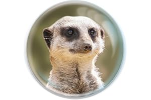 Magnidome - Suricate de Deluxebase. Aimant Suricate pour Frigo en Verre de Cristal pour Enfants. Magnifiques dômes magnétiques pour la décoration de la Maison