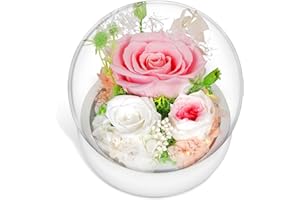 zoeyzoey Ewige Rose Geschenke für Mama,Muttertagsgeschenk Geschenke für Mama,Infinity Rosen Glas mit Echte Rosen,Muttertag Blumen,Geburtstagsgeschenk für Frauen,Geschenk Oma,Jahrestag