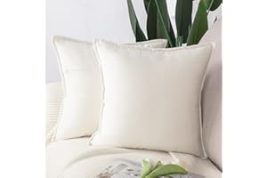 Madizz Lot de 2 Doux Velours Décoratif Housses de Coussin Luxe Style pour canapé Chambre Blanc 60 x 60 cm