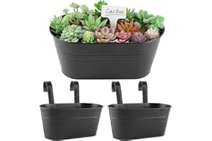 BOFUNX 2 x Hanging Pots Set Vintage Plant Pot Flower Pot Planter with Hooks Balcony Flower Pot Hanging for Decoration Balcony Outdoor Indoor Wall Garden Wall Railing Fence (Black 27 x 14 x 22 cm)