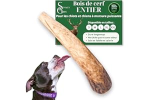 STANLEY GIBBS Bois de cerf pour Chien a Macher Entier (1 pièce). Friandise pour Chiots et Chiens de Tout âges. Jouet Occupation. Jouet de Mastication. Soins Dentaire idéal (M)