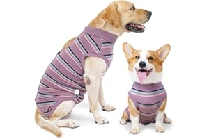 HEYWEAN Body Post operatorio Cane Femmina Maschi Tutina Cane Vestito di Recupero per Cani Tuta Chirurgico Cane Body per Cani Post Intervento Alternative ai Cono e Collare elisabettiano Cane