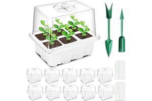 YAUNGEL Zimmergewächshaus Anzuchtkasten, 10 Stück 60 Groß Zellen Mini Gewächshaus Anzucht Set mit erhöhten Deckel, Setzling Starter Tabletts Treibhaus Anzuchtschale mit Deckel für Pflanze, Weiß