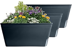 Olly & Rose Lazy Planters - Self Watering Planters - Pack of 3 - Matt Black Self Watering Plant Pots (Black)
