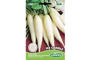 Germisem Ice Candle Semillas de Rábano 8 g