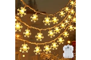 cshare Led Lichterketten Schneeflocke , 6M 40LED Licht Batteriebetriebene, mit Timer IP65 Wasserdicht für Jar Garten Camping Weihnachten Innen Außen Dekorationen,Warmweiß