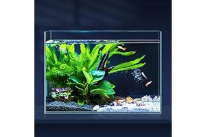 LAQUAL 10-liters akvarium med fisknät och vattenbytessifon, tillverkat av kristallklart glas, litet kar för kampfiskar och gu