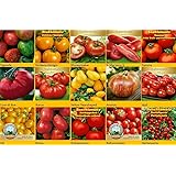 Tomatensamen Set 15 Sorten, San Marzano, Moneymaker, Tomaten Samen Cour di Bue