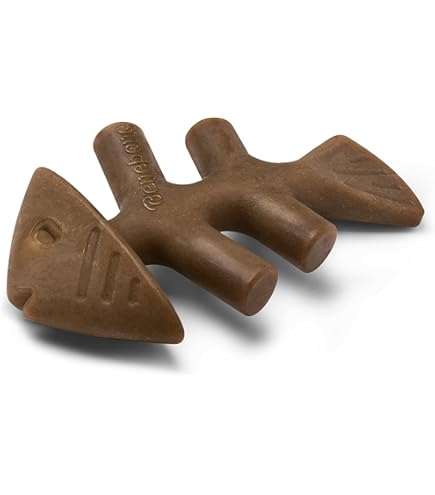 Benebone Onverwoestbaar hondenspeelgoed voor puppy's, geschenkdoos