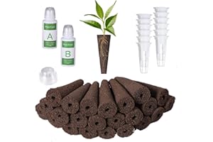 Yoocaa 24 esponjas de Crecimiento con nutrientes sólidos A & B para Plantas, Semillas, Semillas, reemplazo de cápsulas de Crecimiento de raíces, compatibles con IDOO, QYO