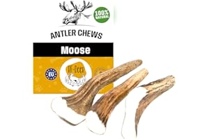 RF - Deer Corno di Alce per Cani 100% Naturale Osso di Alce per Cani Masticativi Naturali, Giochi e Snack Bocconcino per Cane Taglia XL HARD Version 120-180 g 14-17 cm 1 pezzo