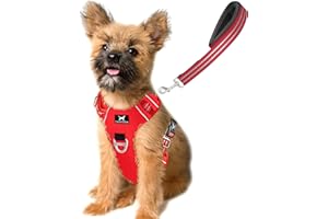 TUFFDOG Easy-Fit Dog Harness Small - Fast Release Neck Clip, Premium Padded Reflective No Pull Harness with Control Handle, Adjustable Step-in Dog Vest Plus Free Matching Lead (S, Poppy Red)
