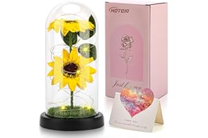 HOTOIQ Geschenk für Frauen,Ewige Sonnenblumen Deko im Glas mit licht, Geburtstagsgeschenk für Frauen Geschenk für Frau Freundin Mama Oma zum Muttertag Jahrestag Geburtstag